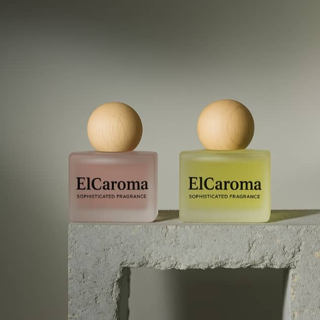 EBOOK ELCAROMA